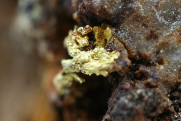 Gold - Image 16