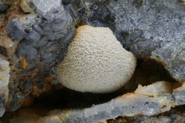 Pyromorfit - Image 7