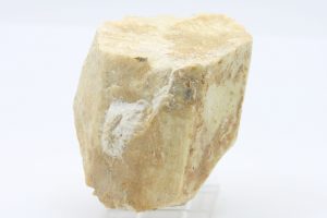 Beryl