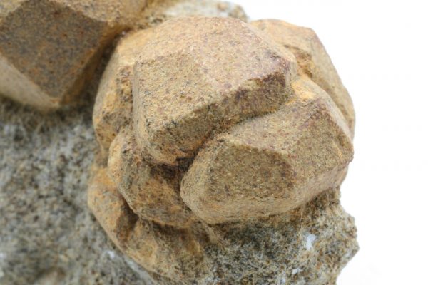 Pseudoleucit – Bild 7