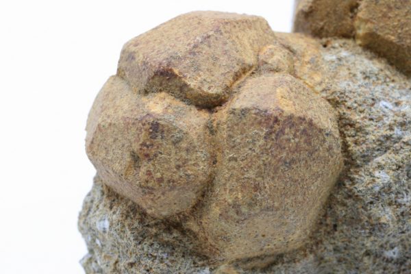 Pseudoleucit – Bild 9
