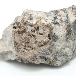 Katapleit