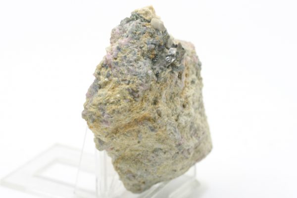 Elbait – Bild 2