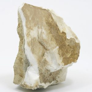 Mesolit