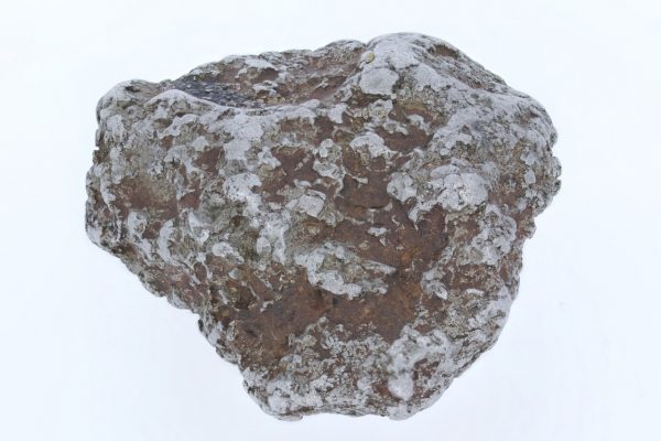Platina - Image 7