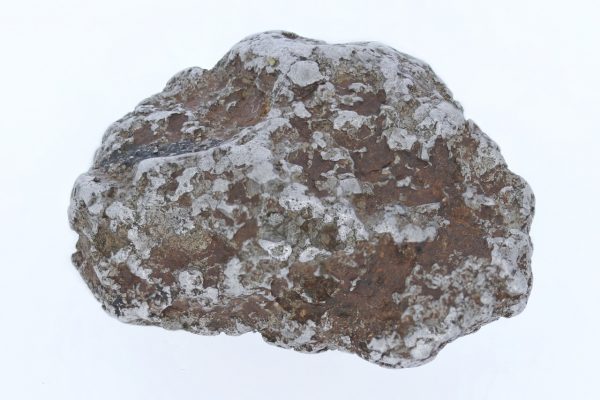 Platina - Image 8