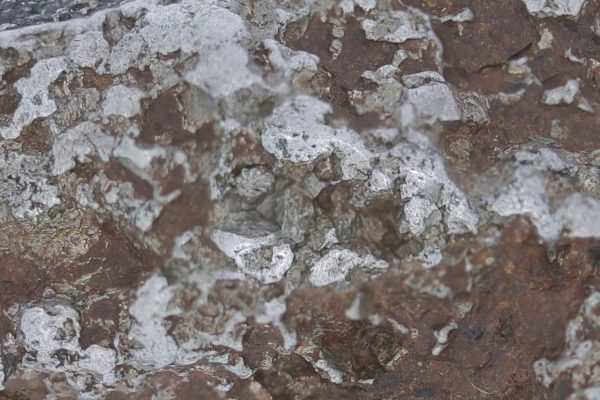 Platina - Image 10