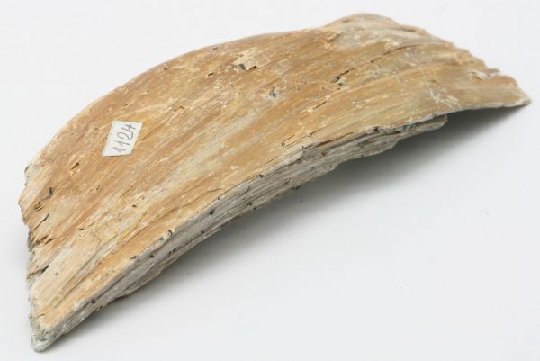Magnetit, pikrolit - Image 3