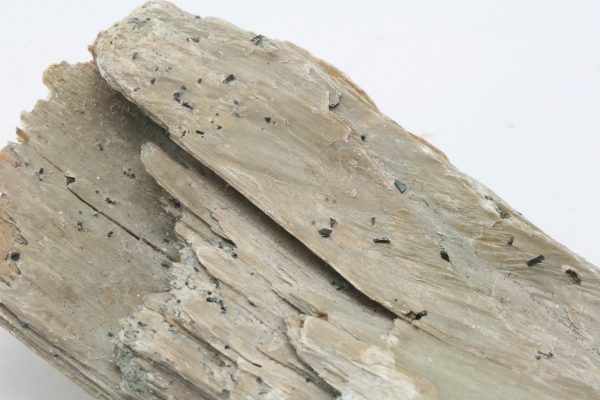 Magnetit, pikrolit - Image 4
