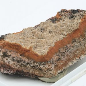 Plattnerite