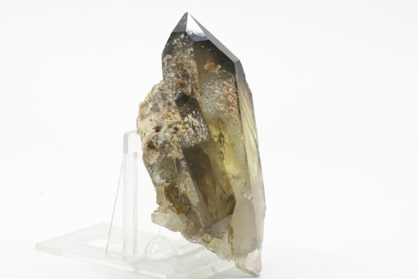 Citrin – Bild 2