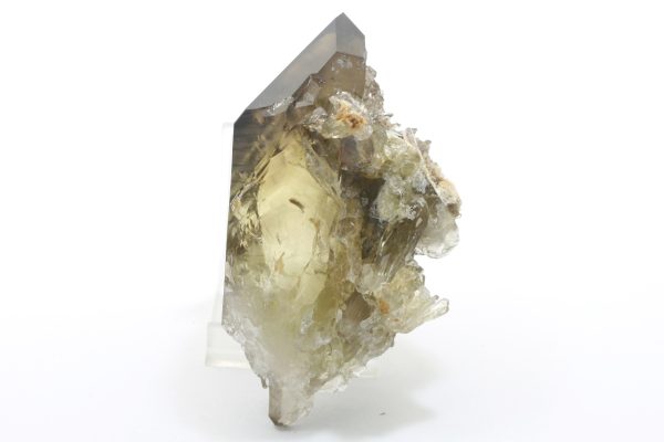 Citrin – Bild 5
