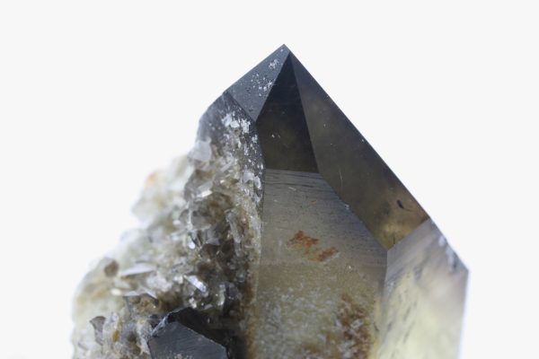Citrin – Bild 8