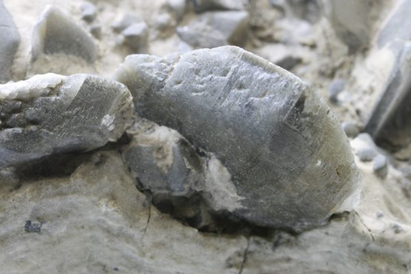 Sádrovec - Image 6