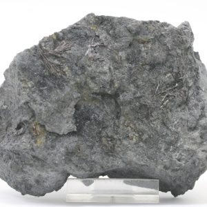 Kermezit
