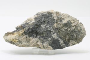 Scainit