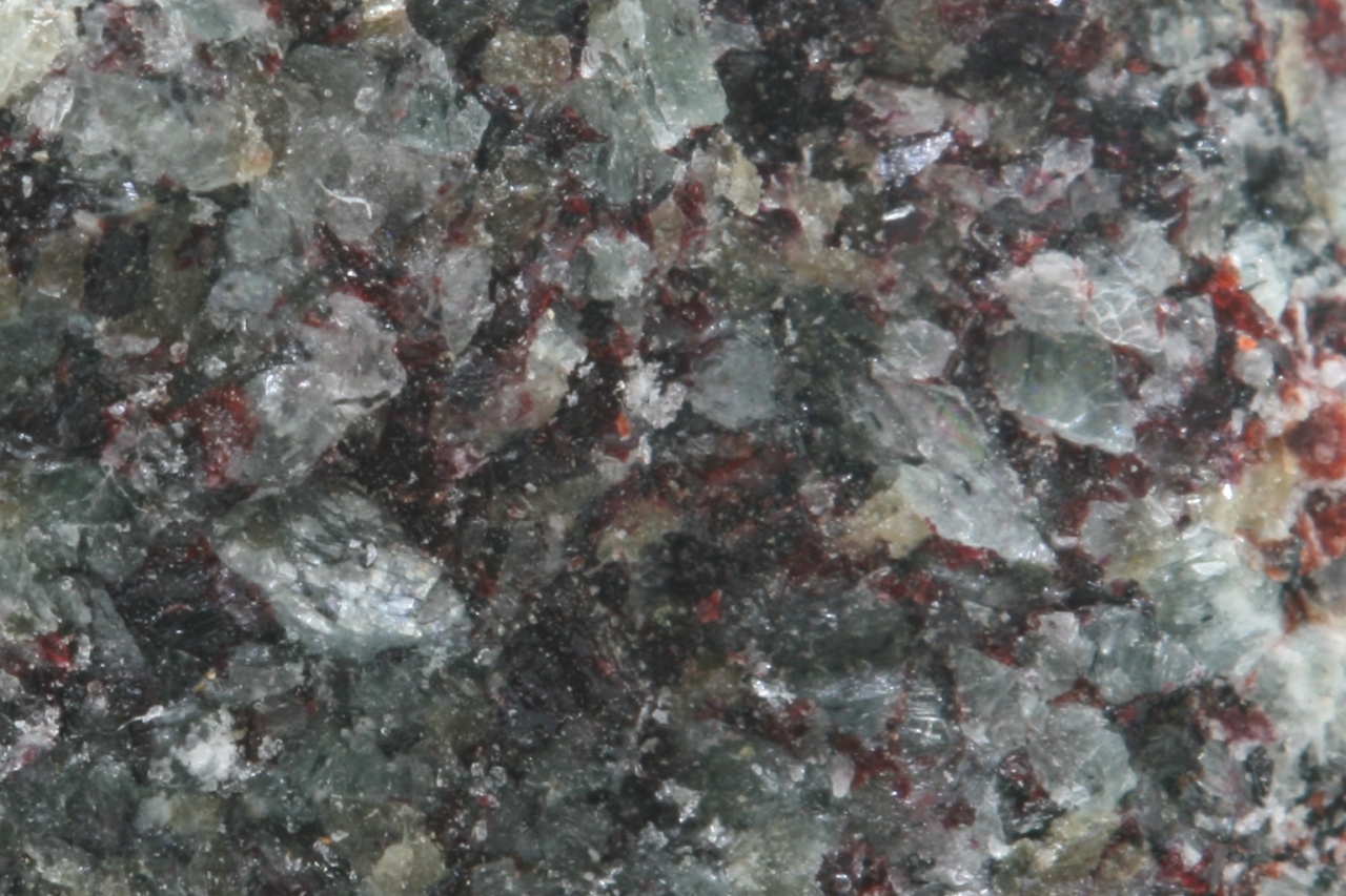 Villiaumit, naujakasit