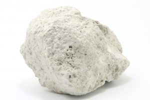 Dillnit