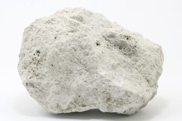 Dillnit - Image 2
