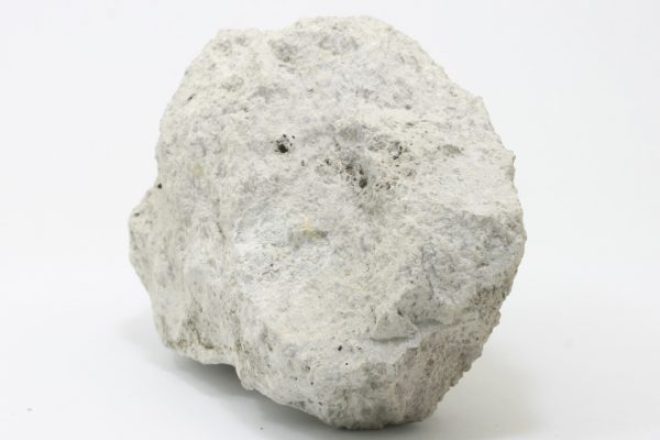 Dillnit - Image 3