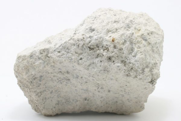 Dillnit - Image 4