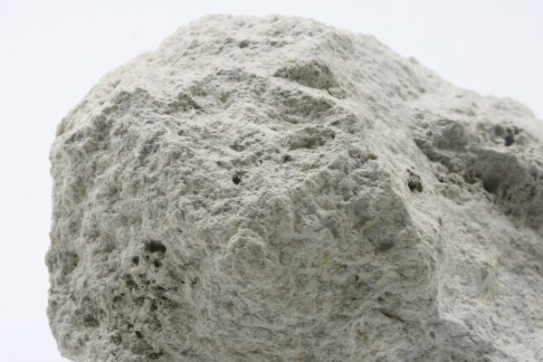 Dillnit - Image 5