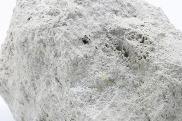 Dillnit - Image 6