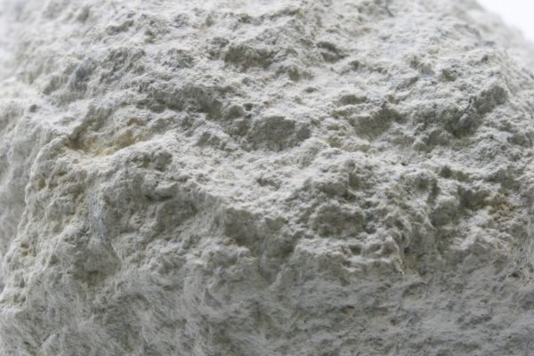 Dillnit - Image 7