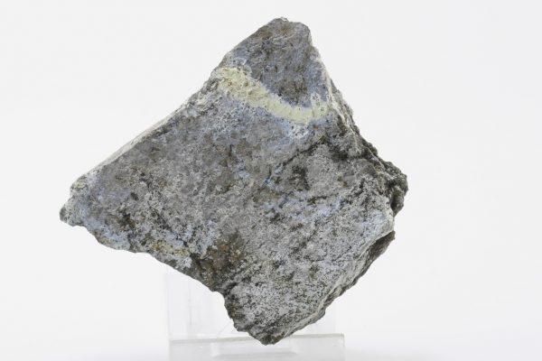 Znucalit
