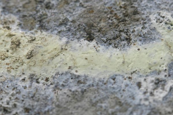Znucalit - Image 7