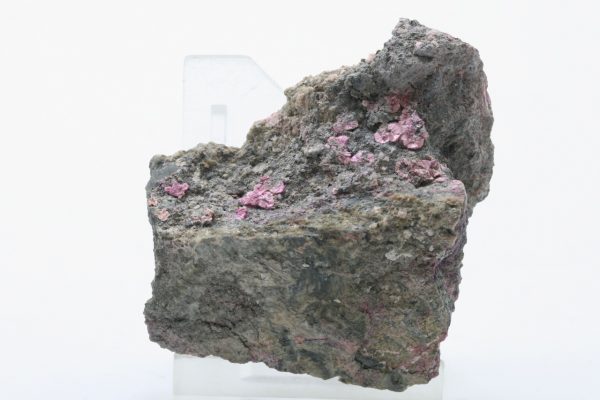 Köttigit – Bild 3