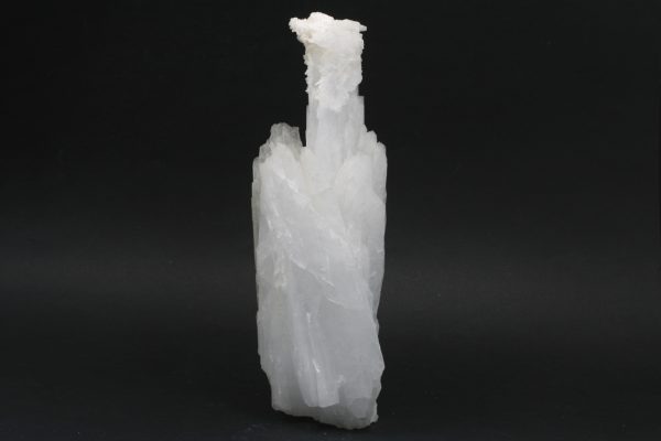 Celestin - Image 2