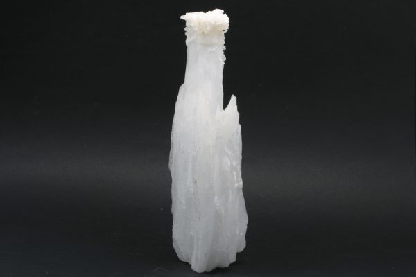 Celestin - Image 4