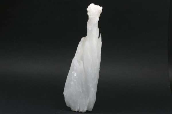 Celestin - Image 7