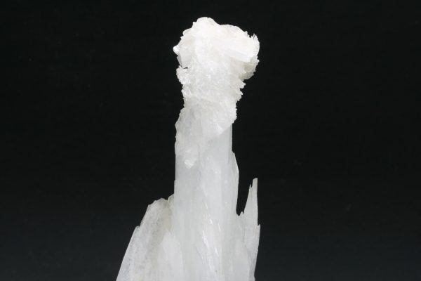 Celestin - Image 8