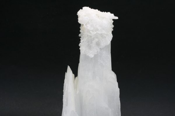 Celestin - Image 9