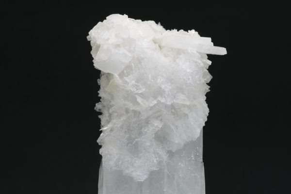Celestin - Image 10