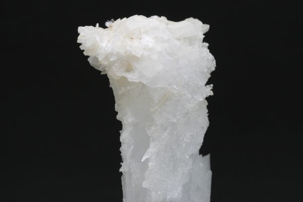 Celestin - Image 11