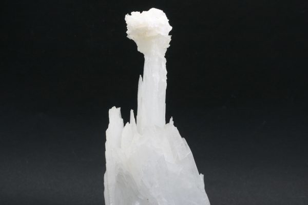Celestin - Image 12
