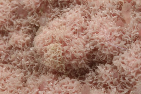 Rhodochrozit - Image 6