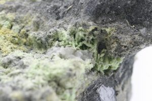 Arsentsumebit