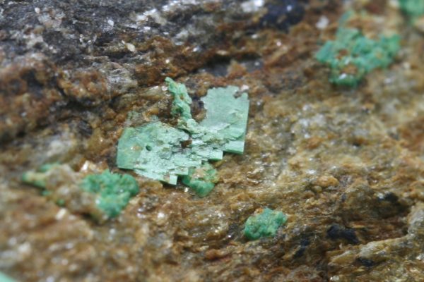 Torbernit – Bild 8