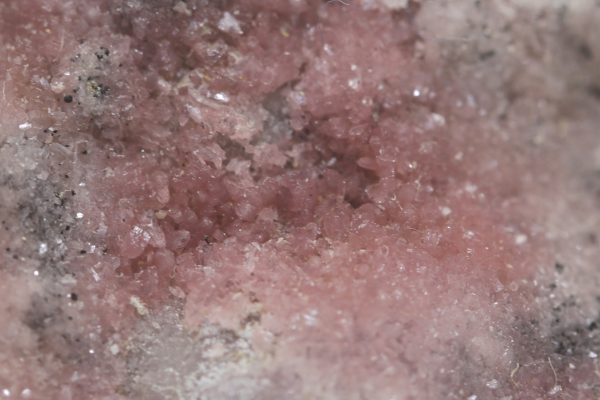 Köttigit – Bild 7