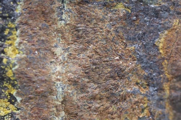 Beraunit, kakoxen – Bild 7