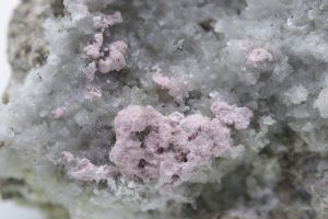 Krautit