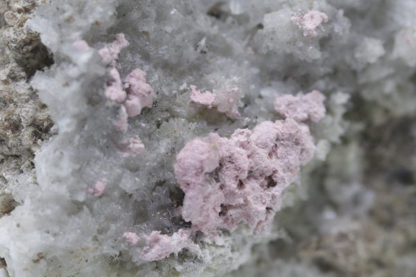 Krautit – Bild 6