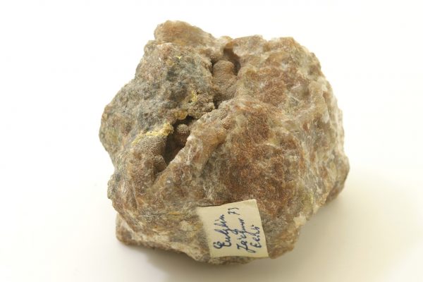 Eulytin – Bild 4