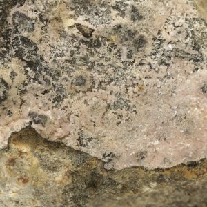 Köttigite