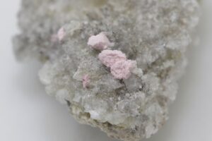 Krautit