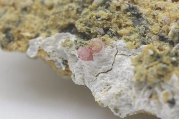 Fluckit – Bild 9